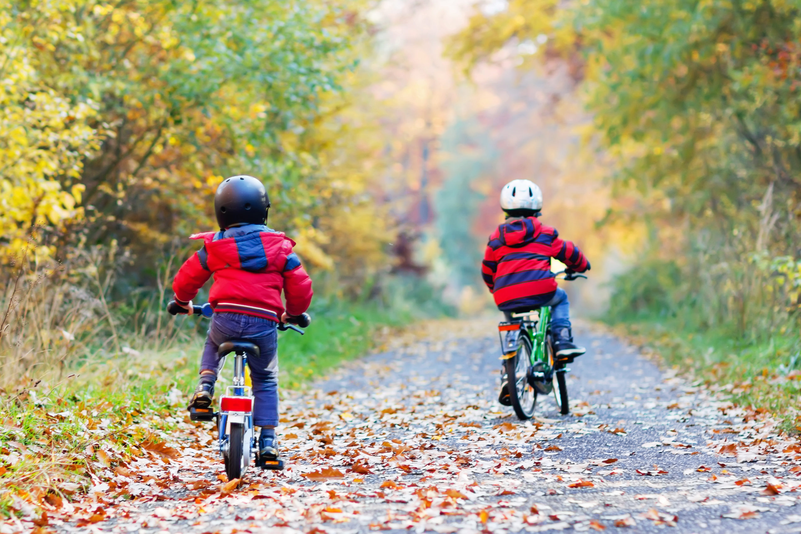 Two little kid boys in colorful warm clothes in autumn forest park driving bicycle. Active children cycling on sunny fall day in nature. Safety, sports, leisure with kids concept. Best friends having fun.